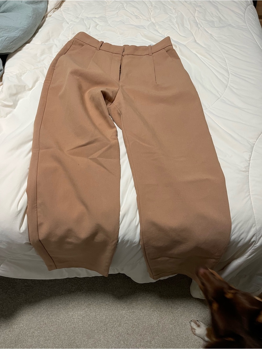 Abercrombie & Fitch Wide Leg Pants in Tan